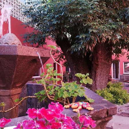Urbania Hostels Пуэбла Экстерьер фото
